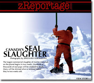 ZUMA Press - zReportage Update